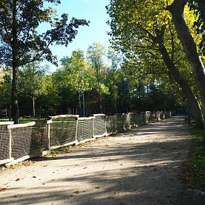 Lower viewing area and walkway alongside the giraffe savanna exhibit, 2020-10-10