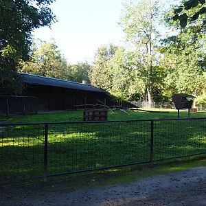 Arabian oryx and Slender-horned gazelle paddock, 2020-10-10