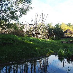 Bonobo island, 2020-10-10