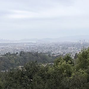 View of Bay Area from California Trail