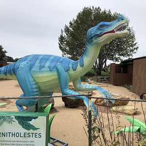 Ornitholestes hermanni