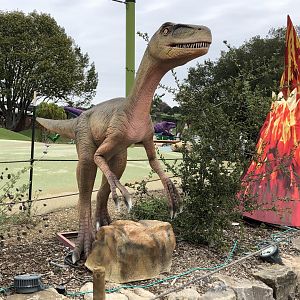 Utahraptor ostrommaysorum