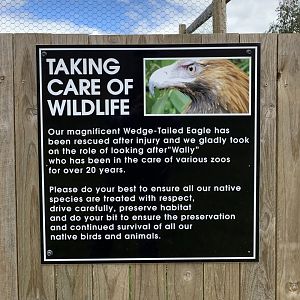 Wedge-tailed Eagle Sign