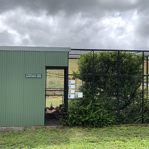Australian Rainforest Aviary