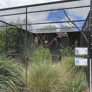Australian Aviaries