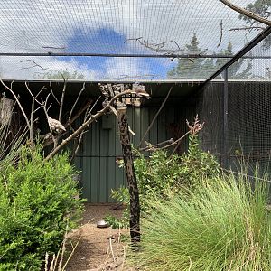Australian Aviary
