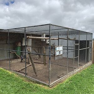 Black Cockatoo Aviaries