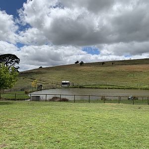 Taralga Wildlife Park Dam