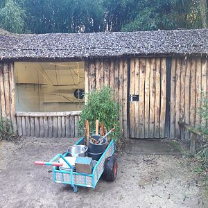 Indoor Capuchin money enclosure