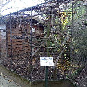 Tamarin enclosure