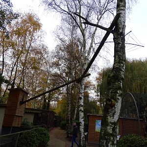 Former Binturong outside enclosure