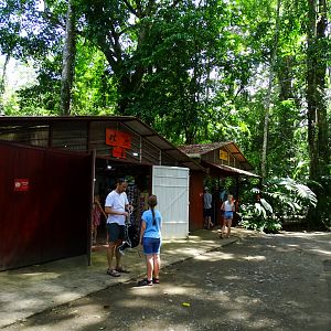 Jaguar rescue center, Puerto Viejo