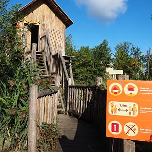 Second Asian elephant viewing lodge, 2020-10-10