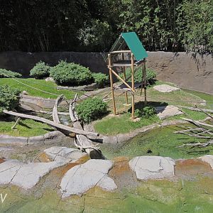 Swamp monkey and otter exhibit - Lost Forest [2015]