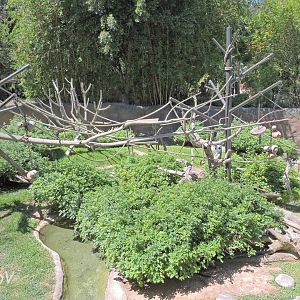 Swamp monkey and otter exhibit - Lost Forest [2015]