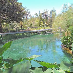 Hippo exhibit- Lost Forest [2015]