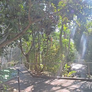 Scripps Aviary - Lost Forest [2015]