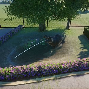 Entrance Path right Side