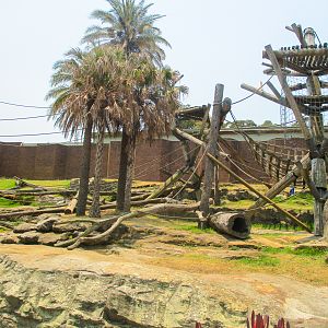 Chimp Enclosure - December 2019