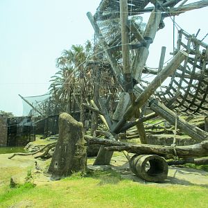 Chimp Enclosure - December 2019