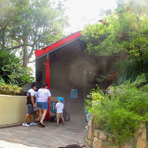 Platypus House - December 2019