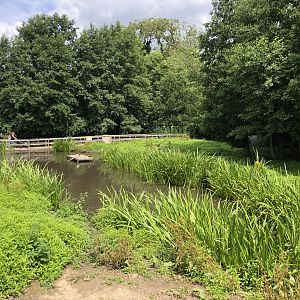 View over capybara enclosure