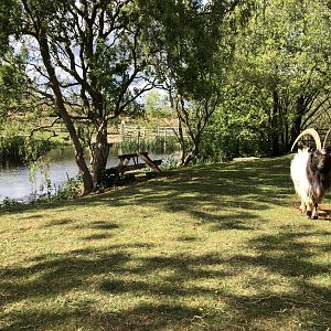 ‘Dolly’s Pond’ with Bilbo Bagot