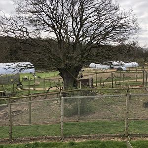 View over the coati enclosure (winter)