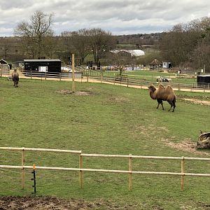 View from the top of the camel house