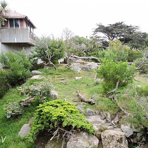 Mandrill  exhibit [2015]