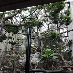 Squirrel monkey exhibit [2015]