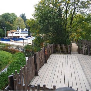 Route to the Bonobo house and Bonobo viewing areas, 2020-10-19