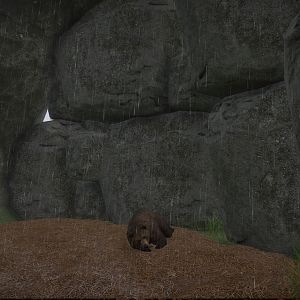 Grizzly Cave