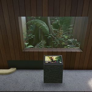 Mexican Redknee Tarantula Enclosure