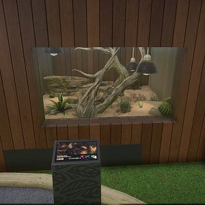 Western Diamondback Rattlesnake Enclosure