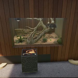 Gila Monster Enclosure