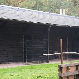 Separations pens next to the antelope house, 2020-10-19