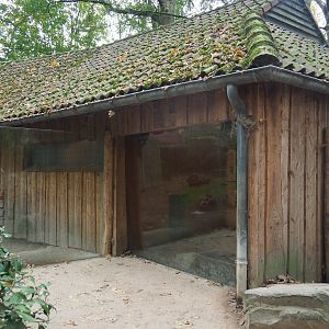 Giant anteater house and viewing areas, 2020-10-19