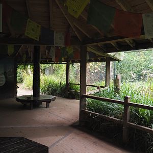 Snow leopard viewing area, 2020-10-19