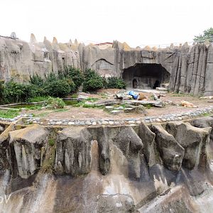 Big cat exhibit [2015]