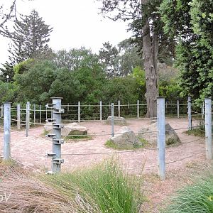 Part of the hippo exhibit [2015]