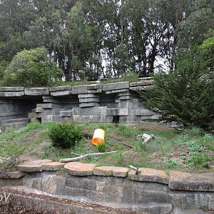 Polar bear exhibit [2015]