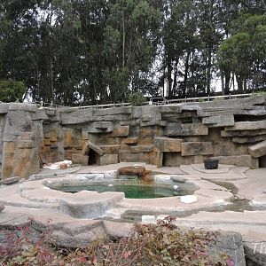 Polar bear exhibit [2015]