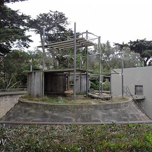 Chimpanzee exhibit [2015]