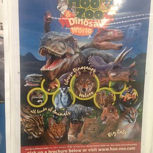 Hoo Zoo & Dinosaur World (2021)