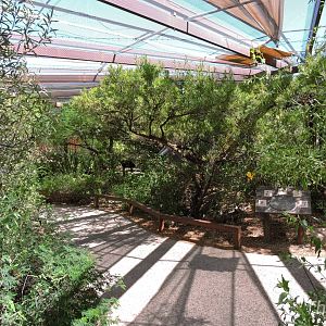 Hummingbird aviary [2015]