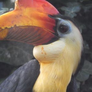 Jersey Zoo January 2019