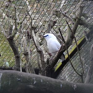 Jersey Zoo January 2019