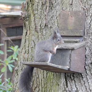 Jersey Zoo January 2019