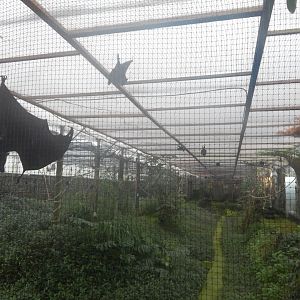 Jersey Zoo January 2019